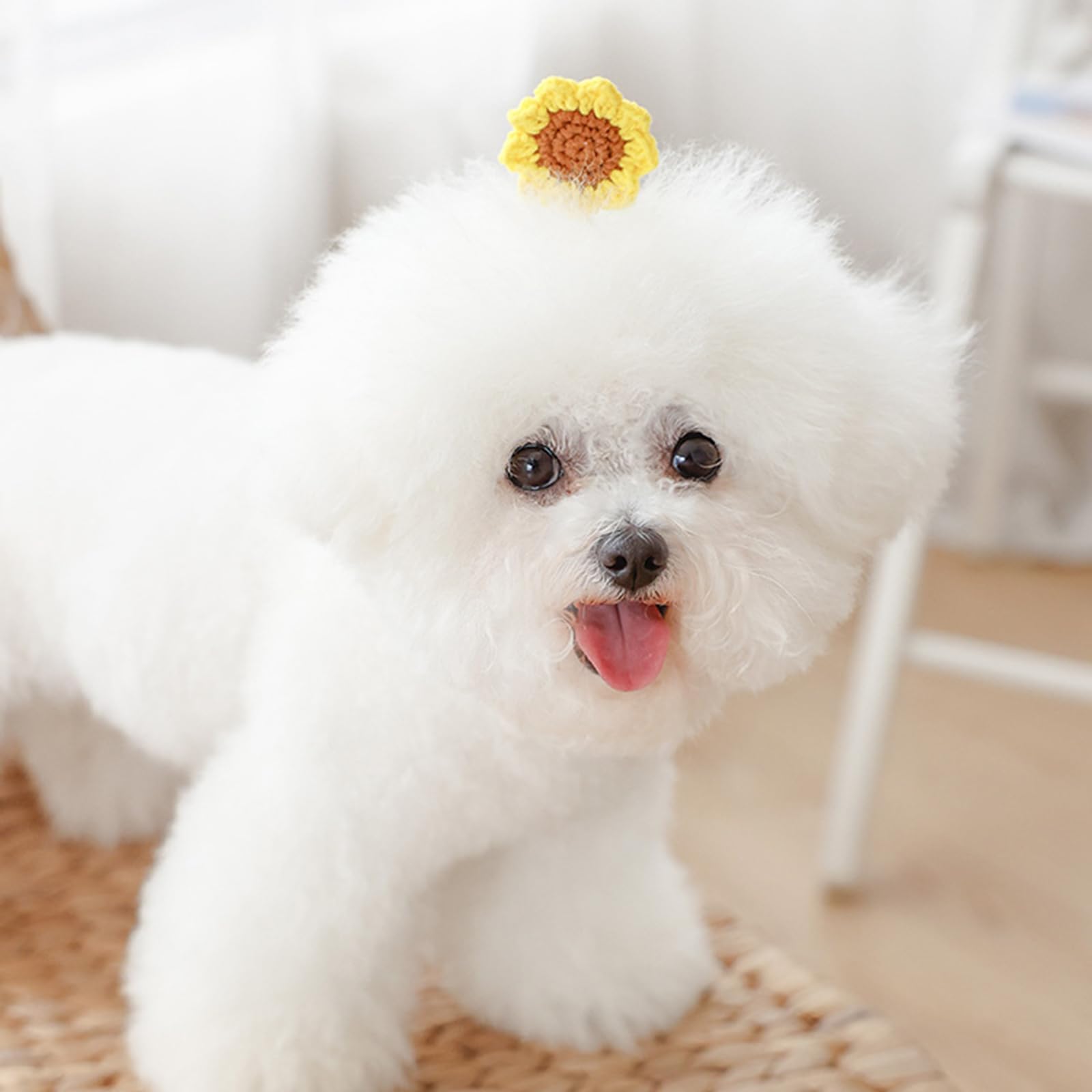 Amazon | FUNETO犬 猫 髪飾りアクセサリー 犬用 ヘアクリップ ヘアピン